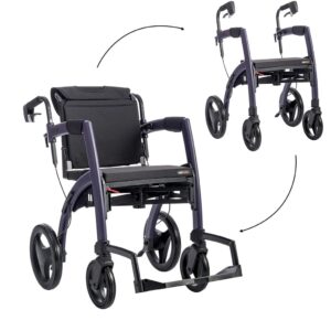 Rollz-Motion.jpg
